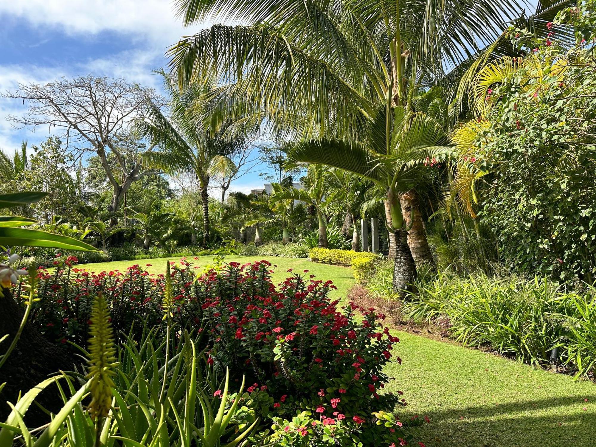 Blue Bird Bed & Breakfast Pereybere Beach